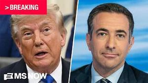 Video post by @msnbc on YouTube