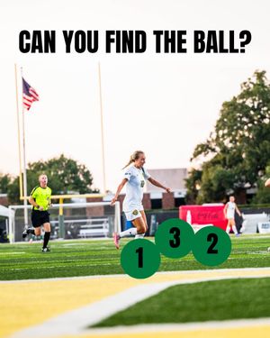 Image post by @lionupsoccer on Instagram