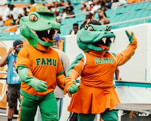 Image post by @famufb on Instagram