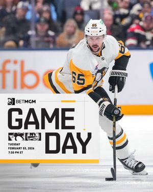 Image post by @penguins on Instagram