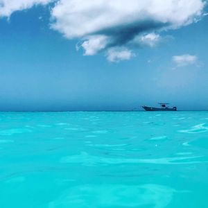 Image post by @makx on Instagram