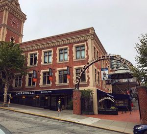 Image post by @sammiemorrissey on Instagram