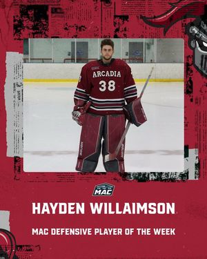 Image post by @arcadia_mih on Instagram