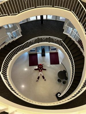 Image post by @razorbackmascots on Instagram