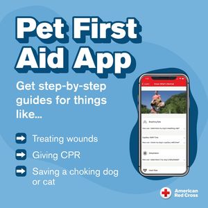 Image post by @americanredcross on Instagram