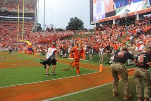 Image post by @thetiger_cu on Instagram