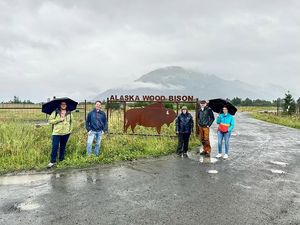 Image post by @ac.ivlp on Instagram