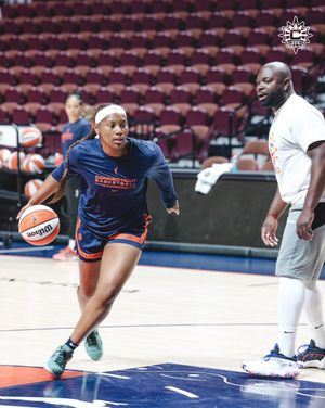 Image post by @ConnecticutSun on Twitter