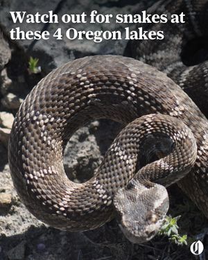 Image post by @theoregonian on Instagram