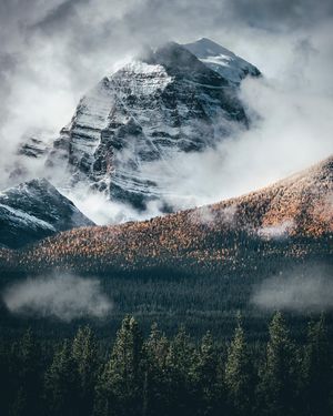 Image post by @chandlerwebercreative on Instagram