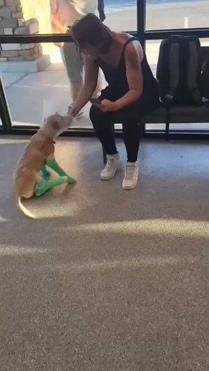 Video post by @arizonasfamily on Instagram