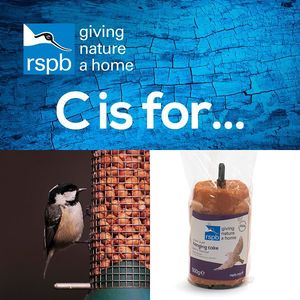 Image post by @rspb on Instagram