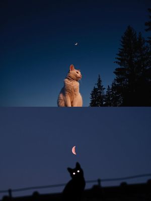 Image post by @fubiz on Instagram