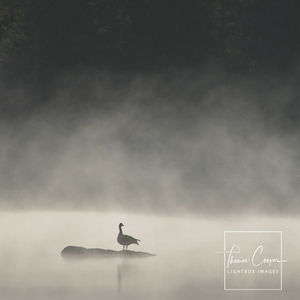 Image post by @lightboximages on Instagram