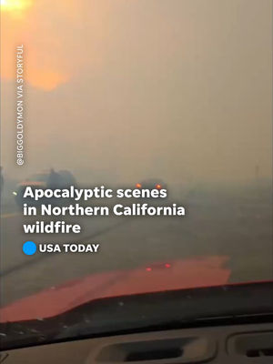 Video post by @usatoday on TikTok
