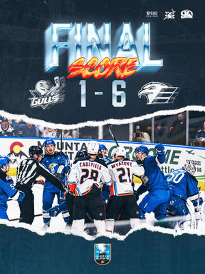 Image post by @sdgullsahl on Instagram