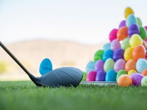 Image post by @pingtour on Instagram