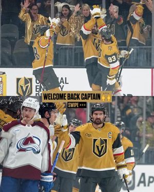 Image post by @vegasgoldenknights on Instagram
