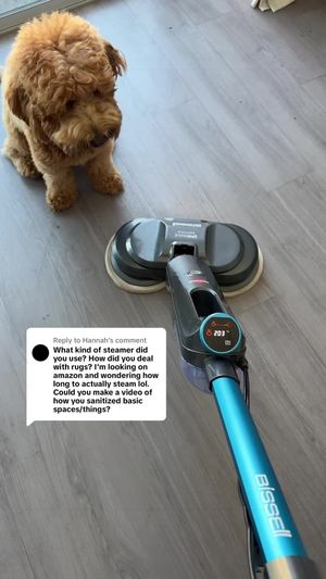 Video post by @tedflixnchill on TikTok