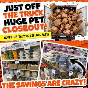 Image post by @biglots on Instagram