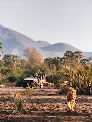 Image post by @chiawasafaris on Instagram