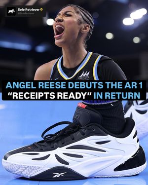 Image post by @soleretriever on Instagram