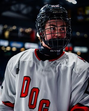 Image post by @ohlicedogs on Instagram