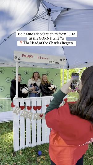 Video post by @byhaleyjo on TikTok