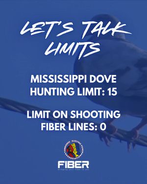 Video post by @TombigbeeFiber on Facebook
