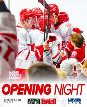 Image post by @fightingsaints on Instagram