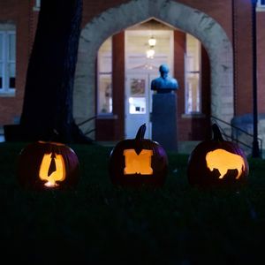 Image post by @marshallu on Instagram