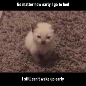 Image post by @9gag on Instagram