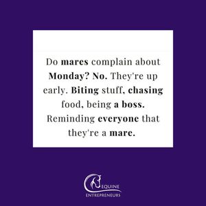 Image post by @equine_entrepreneurs_ on Instagram