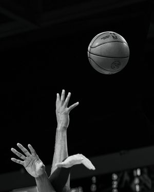 Image post by @socialbymegan on Instagram