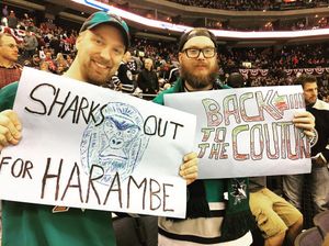 Image post by @sanjosesharks on Instagram