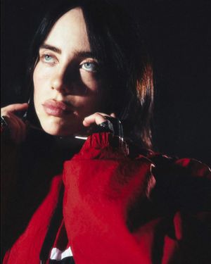 Image post by @billieeilishtours on Instagram