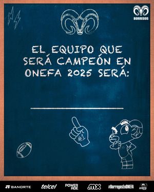 Image post by @borregostec on Instagram
