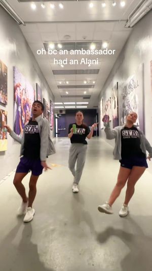 Video post by @charismeow on TikTok