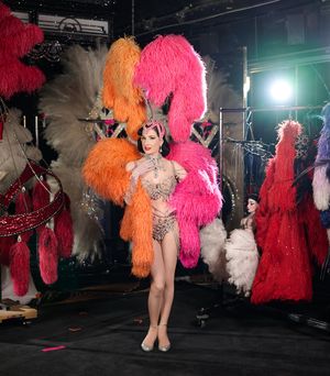 Image post by @ditavonteese on Instagram