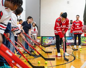 Image post by @theahl on Instagram