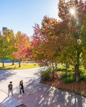 Image post by @ucsantabarbara on Instagram