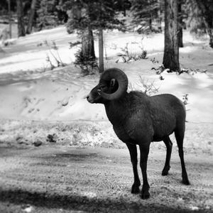 Image post by @mtnorquay on Instagram