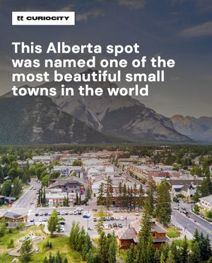 Image post by @curiocitycalgary on Instagram