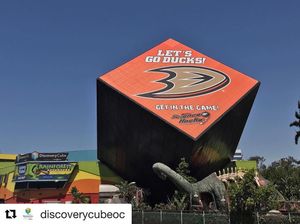 Image post by @anaheimducks on Instagram