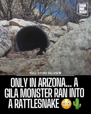 Image post by @downinnadesert on Instagram
