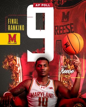 Image post by @terrapinhoops on Instagram