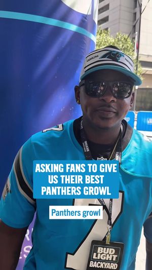 Video post by @panthers on TikTok