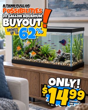 Image post by @biglots on Instagram