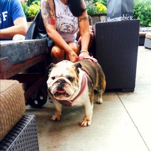 Image post by @theironhorsehotel on Instagram