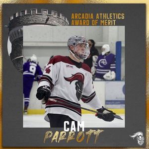 Image post by @arcadia_mih on Instagram